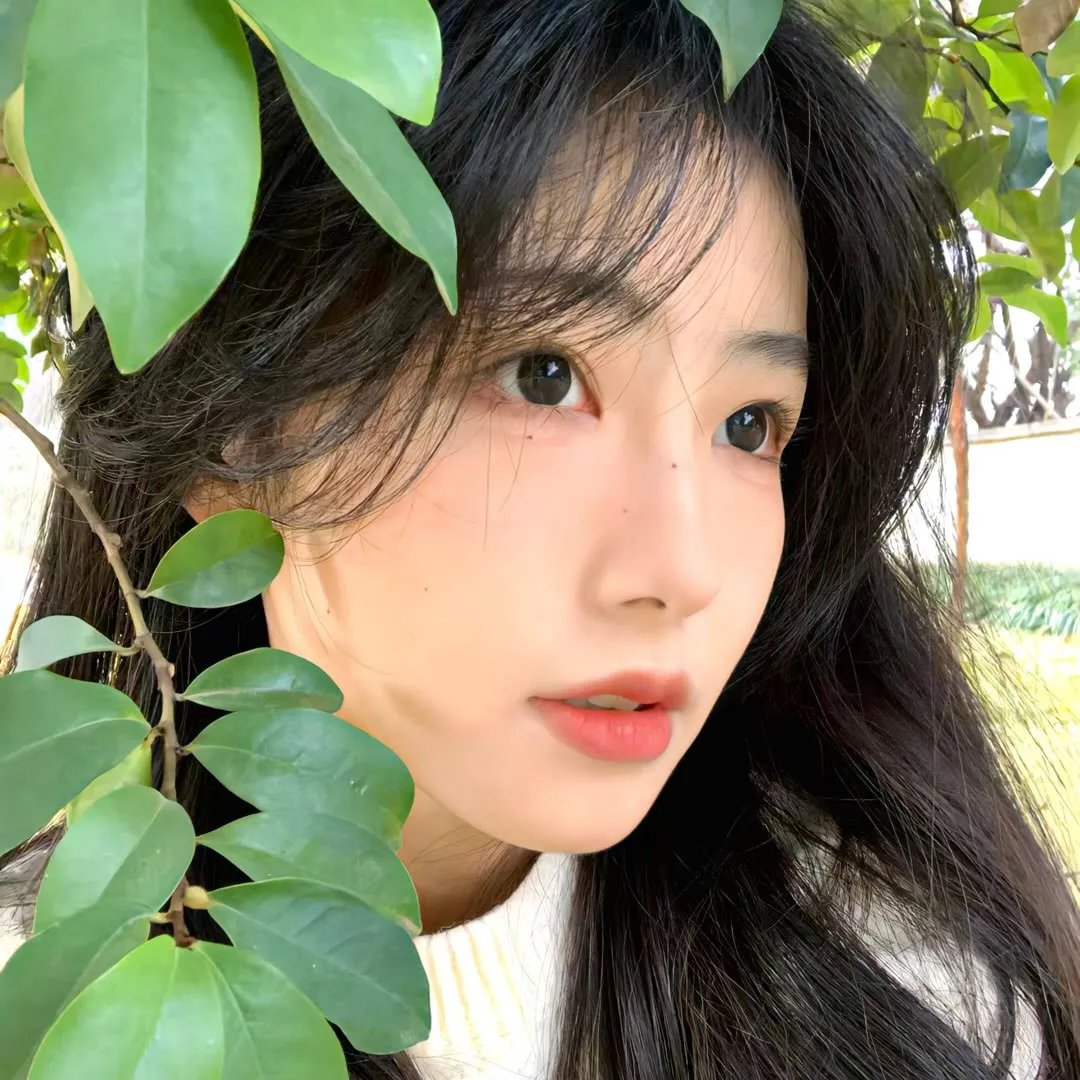 不知所踪